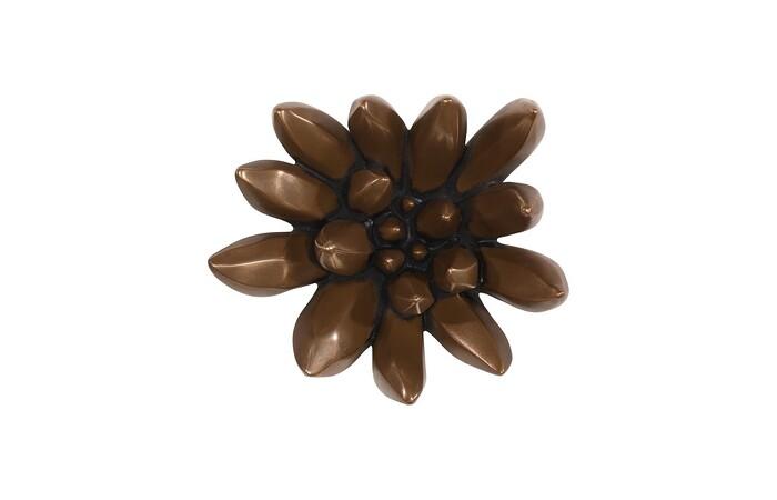 Compactum Succulent Wall Art, Imperial Bronze