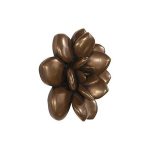 Laui Succulent Wall Art, Imperial Bronze