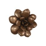 Laui Succulent Wall Art, Imperial Bronze