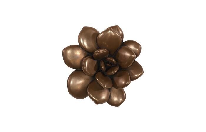 Laui Succulent Wall Art, Imperial Bronze