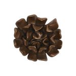 Topsy Turvy Succulent Wall Art, Imperial Bronze
