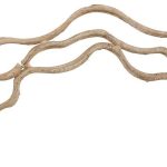 Vine Rings, Set Of 2