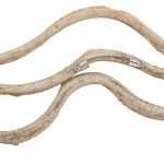 Vine Rings, Set Of 2