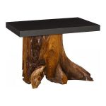 Plinth Side Table, Teak Root With, Iron Top