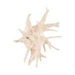 Wood Wall Decor, Bleached
