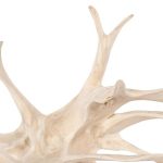 Wood Wall Decor, Bleached