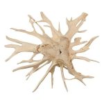 Wood Wall Decor, Bleached