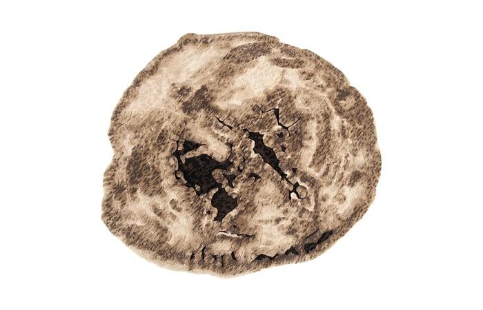 Slice Area Rug, Brown, 6x6'
