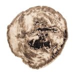 Slice Area Rug , 10x10'