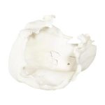 Cast Root Bowl, Open, Faux Bleached