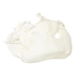 Cast Root Bowl, Open, Faux Bleached